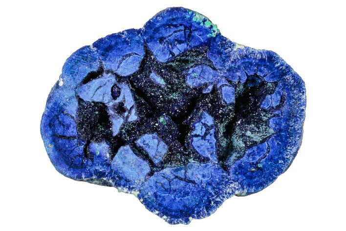 Vivid Blue, Cut/Polished Azurite & Malachite Nodule - Siberia #335247